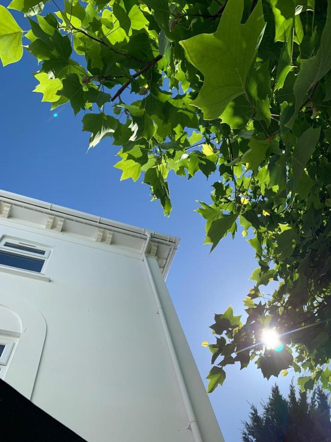 Holiday home Torquaytownhouse With Hot Tub 200m From - Free Wifi Sky Glass *